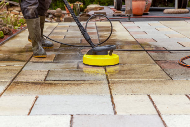 Best Solar Panel Cleaning  in East Camden, AR